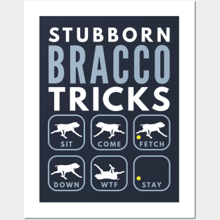 Stubborn Bracco Italiano Tricks - Dog Training Posters and Art